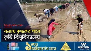 কৃষকের জন্য ধানের চারা তৈরি করছে শিক্ষার্থীরা