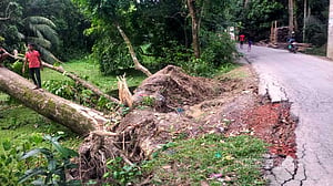 বন্যা: চাঁদপুরে ১৯২ গ্রামীণ সড়ক ও ১২ হাজার হেক্টর ফসলের ক্ষতি