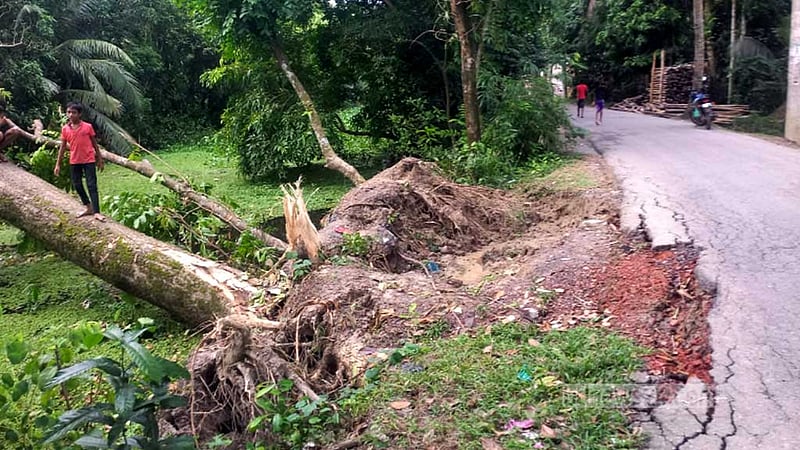 বন্যা: চাঁদপুরে ১৯২ গ্রামীণ সড়ক ও ১২ হাজার হেক্টর ফসলের ক্ষতি