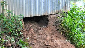 হত্যার পর ঘরেই মাটিচাপা, চারদিন পর মরদেহ উদ্ধার