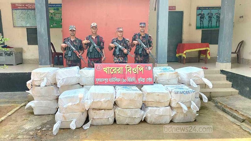 ‘ভারতে পাচারের সময়’ কুমিল্লার সীমান্তে ৬২০ কেজি ইলিশ জব্দ