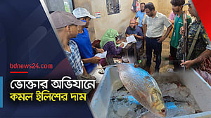এবার ইলিশের বাজারে ভোক্তা অধিদপ্তরের অভিযান