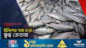 এখনো সক্রিয় ‘সিন্ডিকেট’, দাম বেশি ইলিশের