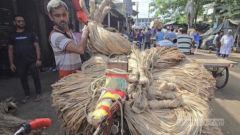 পাটের ভালো দাম না পেয়ে হতাশ ফরিদপুরের চাষিরা