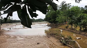 ‘মন কর যেন মরি যাই’