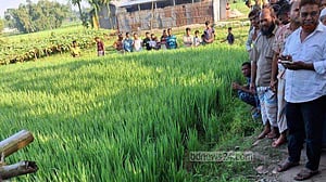লালমনিরহাটে সড়কের পাশে পড়েছিল বৃদ্ধের মরদেহ