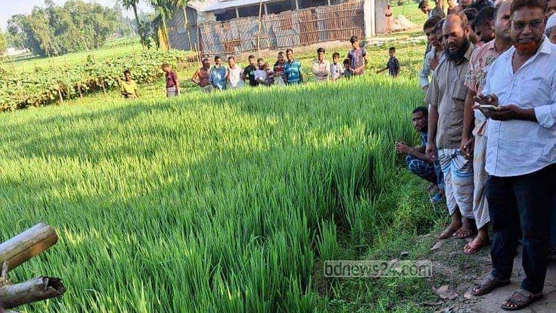 লালমনিরহাটে সড়কের পাশে পড়েছিল বৃদ্ধের মরদেহ