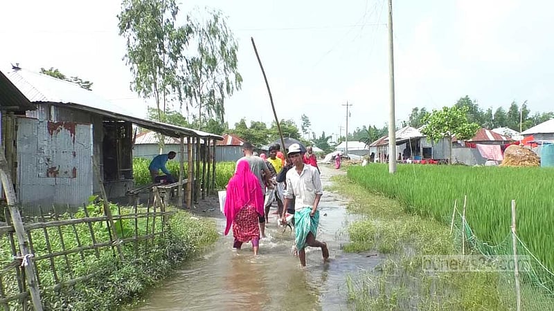 নীলফামারীতে ঘরবাড়ি থেকে নামছে পানি, খাদ্য সংকটে বানভাসিরা