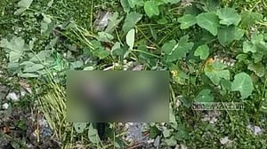 ভ্যান নিয়ে বেরিয়ে নিখোঁজ, চালকের লাশ মিলল ডোবায়