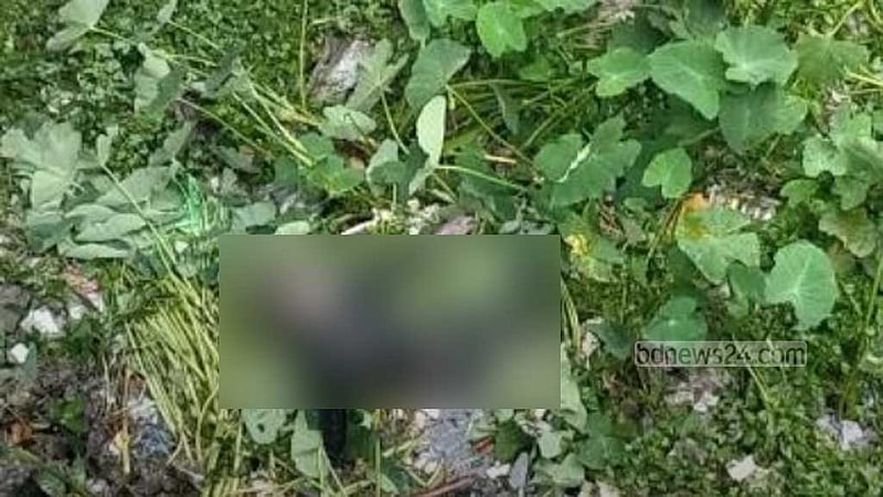 ভ্যান নিয়ে বেরিয়ে নিখোঁজ, চালকের লাশ মিলল ডোবায়