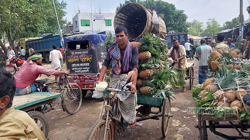 জিআই পণ্যের স্বীকৃতি পেল টাঙ্গাইলের আনারস