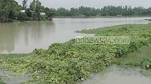 কুড়িগ্রামে জালে পেচিঁয়ে ব্রহ্মপুত্রে পড়ল তরুণ, পরে লাশ উদ্ধার