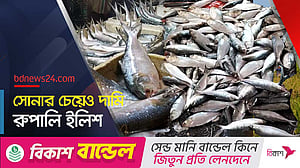 বৈশাখে ইলিশের চাহিদা তুঙ্গে, সরবরাহ কম বরিশালে