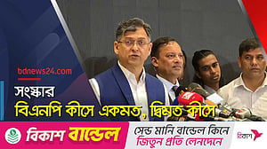 সংবিধান সংস্কারে বিএনপি কীসে একমত, দ্বিমত কীসে