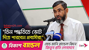 যেকোনো পরিসরে ভোটের আওতায় আসবে প্রবাসীরা: ইসি