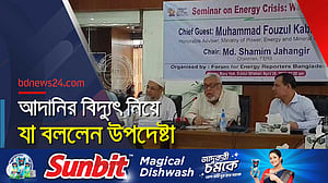 বকেয়া পরিশোধ না করলে এলএনজি দিত না কাতার: জ্বালানি উপদেষ্টা