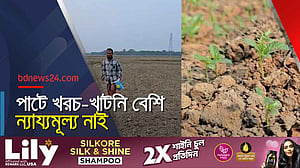 ফরিদপুরে পাট উৎপাদনে ব্যয় বৃদ্ধির শঙ্কা চাষির