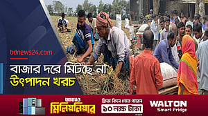 বাম্পার ফলনেও স্বস্তিতে নেই ফরিদপুরের পেঁয়াজ চাষিরা