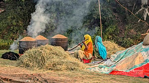 সোনার ধানের অপেক্ষায় হাওরের কৃষক