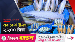 পহেলা বৈশাখ কেন্দ্র করে ইলিশের দাম চড়া