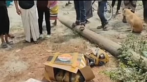 কেরানীগঞ্জে তিন কার্টনে মিলল খণ্ডিত লাশ, আরেকটিতে মাথা
