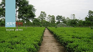 গড়ের পাথরে লেখা রাজপুরাণ