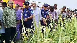 দেশের খাদ্য মজুত পরিস্থিতি সন্তোষজনক: খাদ্য উপদেষ্টা