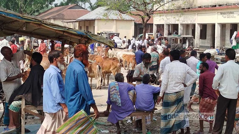 স্কুলমাঠ দখল করে ফের হাট, ব্যাহত পাঠদান
