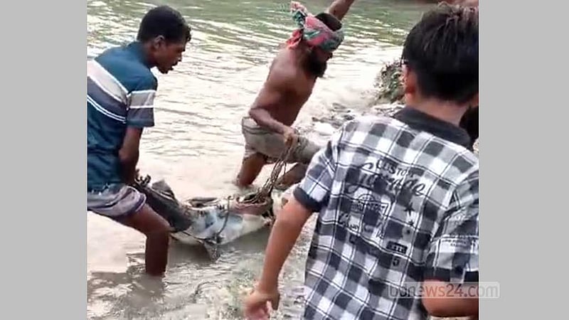 ‘শখে’ জাল ফেলে উঠল ৩০ কেজির বাঘাইড়, বিক্রি ৩৫ হাজারে