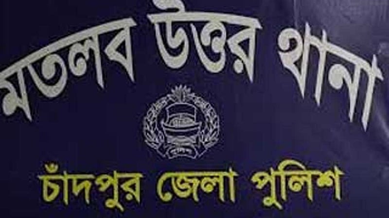 চাঁদপুরে ভিমরুলের কামড়ে স্বামীর মৃত্যু, স্ত্রী আইসিইউতে