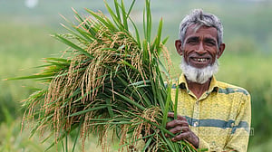 ভালো ফলন, খুশি কৃষক