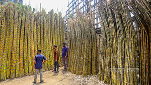 ফরাশগঞ্জের আখের আড়ৎ