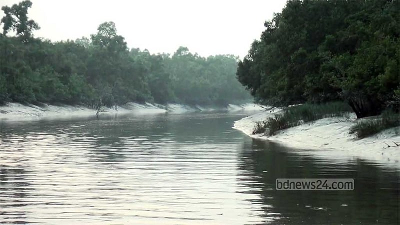 প্রজনন মৌসুম: ৩ মাস পর সোমবার থেকে উন্মুক্ত সুন্দরবন