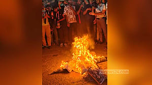 ঢাবিতে বিক্ষোভ, ফজলুর রহমানের কুশপুত্তলিকা পুড়ল