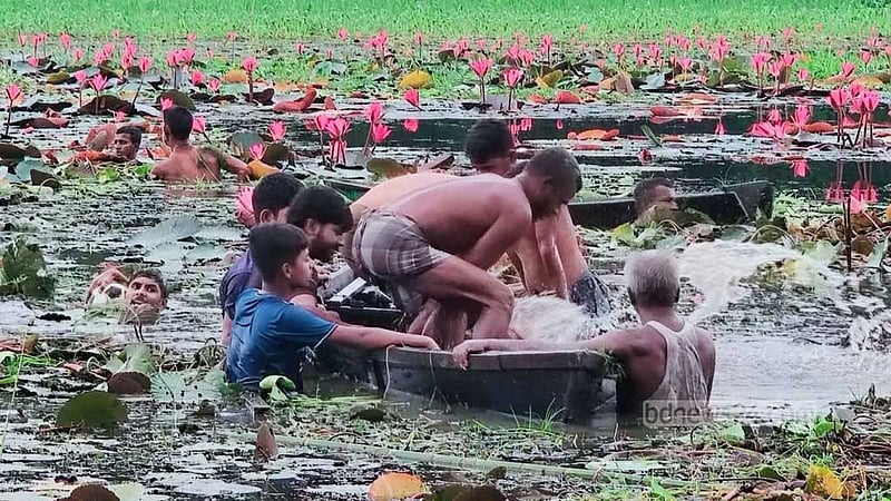 গাজীপুরে শাপলা বিলে ‘টিকটক’: নৌকা ডুবে দুজনের মৃত্যু