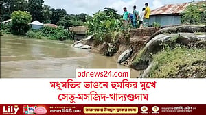 গোপালগঞ্জে ভাটিয়াপাড়া বন্দর প্রতিরক্ষা বাঁধে ভাঙন