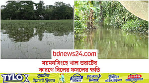 দখল-দূষণে সঙ্কুচিত খাল, পানির নিচে বিলের আমন