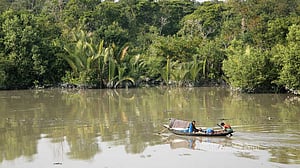 বিষের ফাঁদে সুন্দরবন, দাদনে জিম্মি জেলে