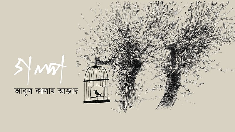 অরেঞ্জ ও অরেঞ্জেলা