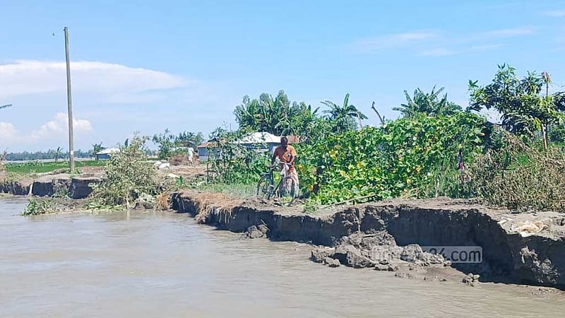 চার ঘণ্টার ভাঙনে কুড়িগ্রামে ১৫ বাড়ি নদীগর্ভে