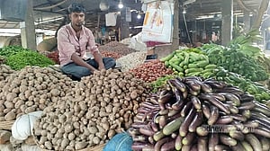 ‘সবজির যে দাম বাহে, আলু ছাড়া তো গতি নাই’