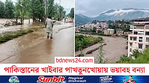 পাকিস্তানের বন্যায় প্রাণহানি তিন শতাধিক