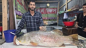 বঙ্গোপসাগরে কুয়াকাটার জেলের জালে ২২ কেজির কোরাল