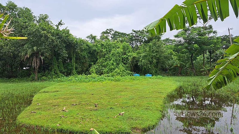 নিজ ভূমে ‘পরবাসী’ রাখাইনরা, বেদখল শ্মশান-দেবালয়