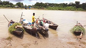 ভরা মৌসুমেও শরীয়তপুরে ইলিশের দেখা নেই