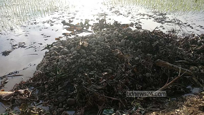 ‘সাদাপাথর লুট’: এবার ধান ক্ষেত থেকে পাথর উদ্ধার