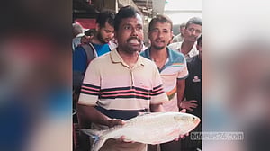 আড়াই কেজির ইলিশ ১৪ হাজার টাকায় বিক্রি