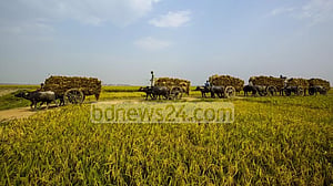 কৃষকের ফসল আসছে বীমার আওতায়