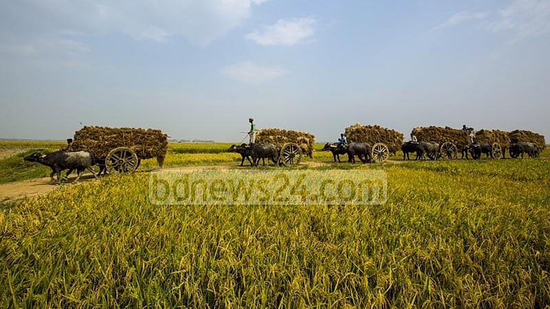 কৃষকের ফসল আসছে বীমার আওতায়