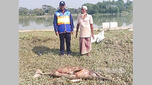 হালদায় মিলল মৃত ডলফিন